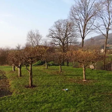 Apartment 4****ferienwohnung Haus Naturblick
